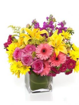 Vibrant Assorted Gerberas