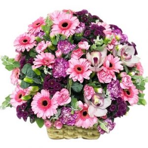 A basket of lovely daisy