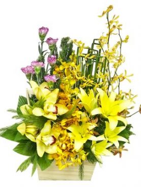 Yellow Orchid Basket