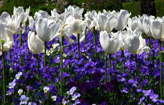 Nóng Giận Là Bản Năng, Tĩnh Lặng Là Bản Lĩnh, Điềm Đạm Là Khí Chất