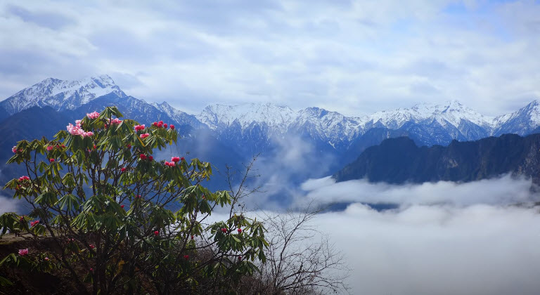 Không Ai Học Được Điều Gì Lớn Lao Và Trưởng Thành Thực Sự Trong Thuận Lợi Đầy Đủ Cả