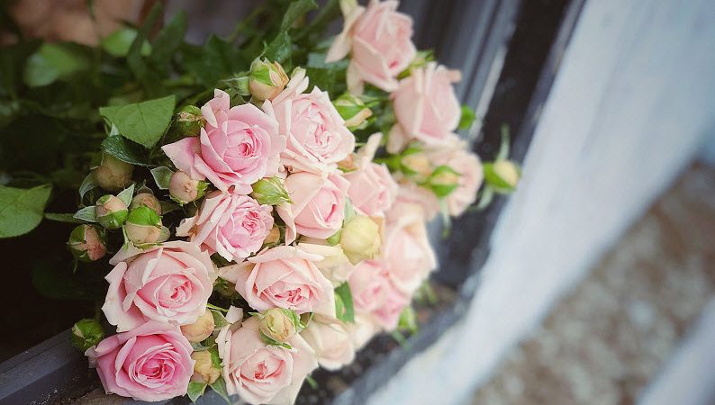 Being Still, Looking, and Listening Activates The Non-Conceptual Intelligence Within You