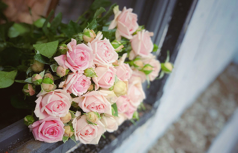 Being Still, Looking, and Listening Activates The Non-Conceptual Intelligence Within You