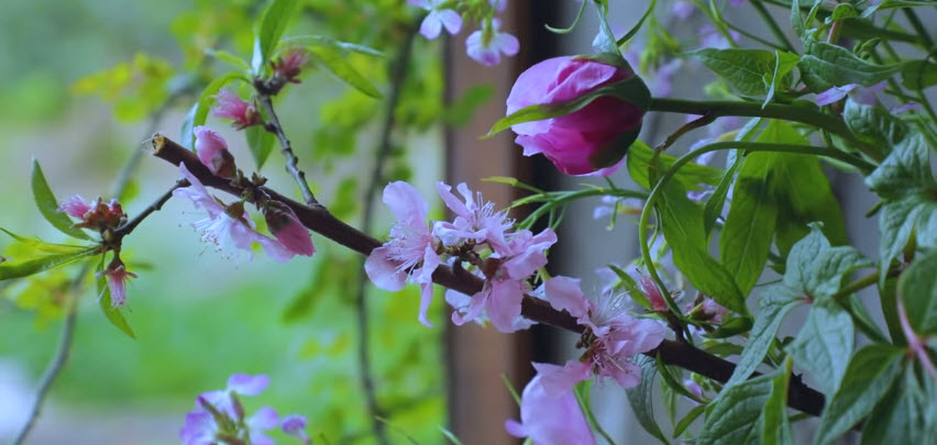 Life Is The Dancer, And You Are The Dance