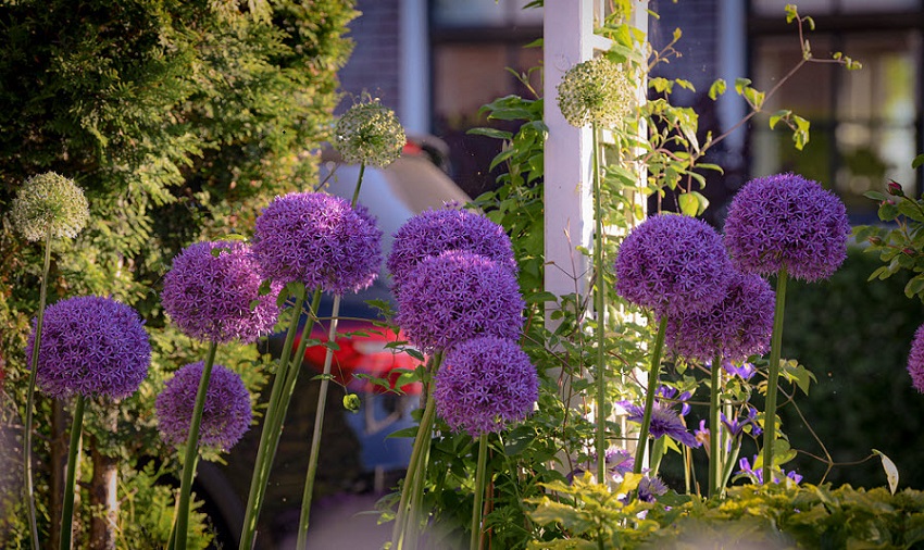 Chúng Ta Phải Học Những Bài Học Của Sự Lặp Đi Lặp Lại