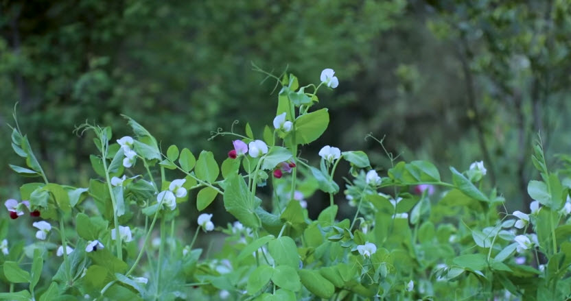 You Attract And Manifest Whatever Corresponds To Your Inner State