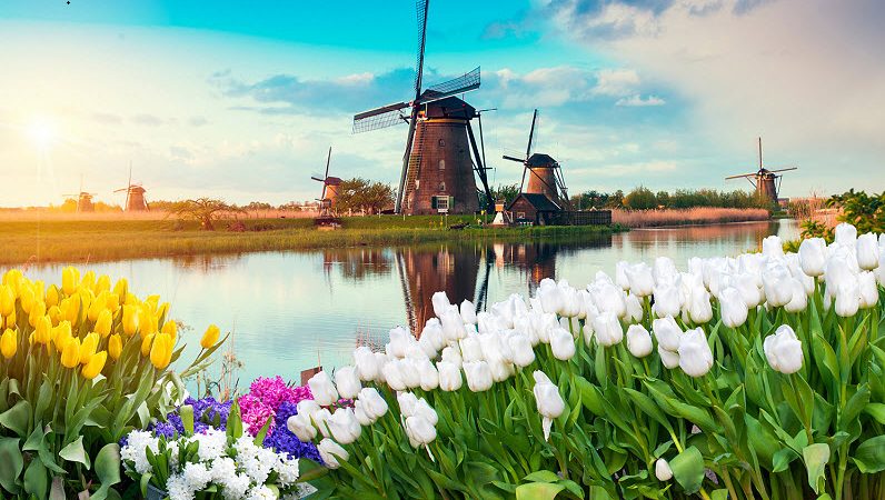 Làm Sao Để Chữa Lành Những Tổn Thương Tâm Lý