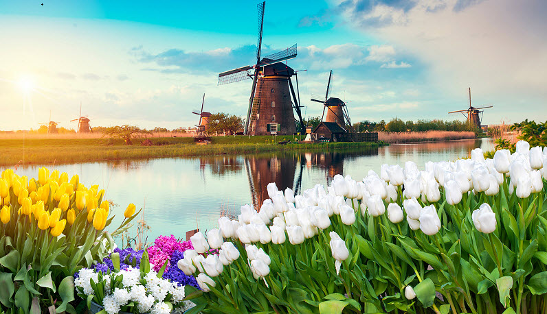 Làm Sao Để Chữa Lành Những Tổn Thương Tâm Lý