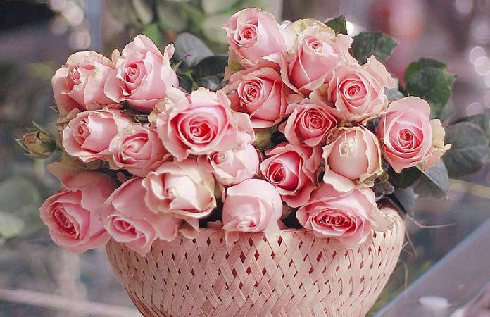 T ͪế G ͥớ ͥ Này Rấ ͭ Cần Bạn & C ͪỉ Bạn Mớ ͥ Có T ͪể Tạ ͦ R ͣ  