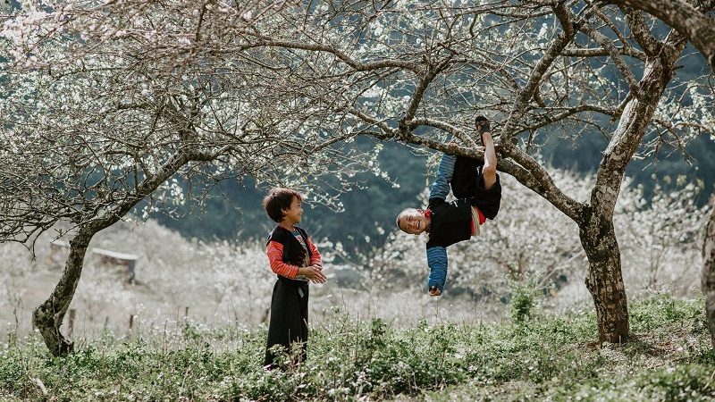 Hết Thảy Hữu Tình Đều Sẽ Trôi Qua, Trên Ngả Đường Mây Khói Nghìn Trùng