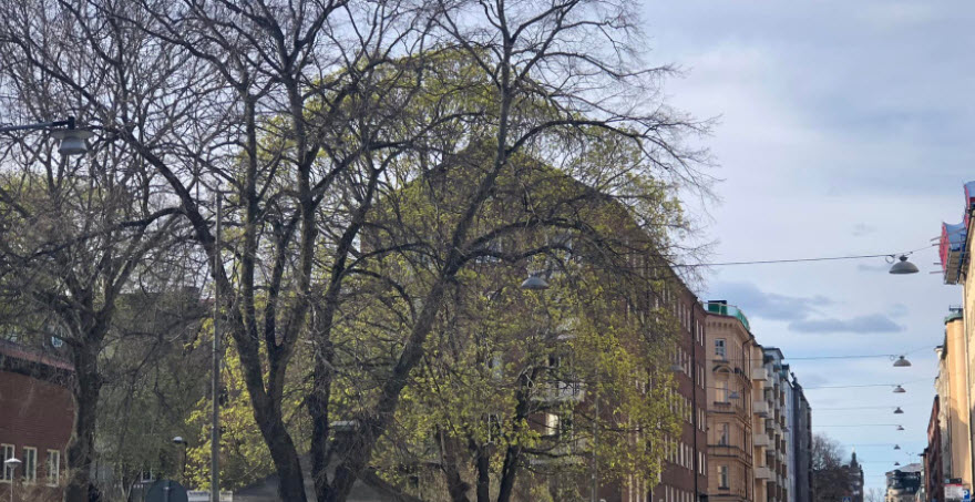 Thinking Optimistically & Living A Happy Life – Suy Nghĩ Lạc Quan & Sống Một Cuộc Sống Hạnh Phúc.