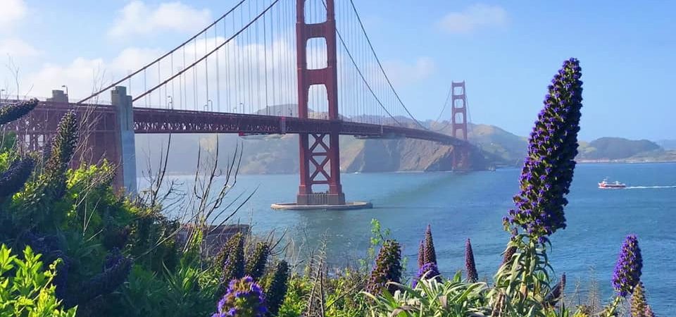 There’s A Way To Do It Better – Find It