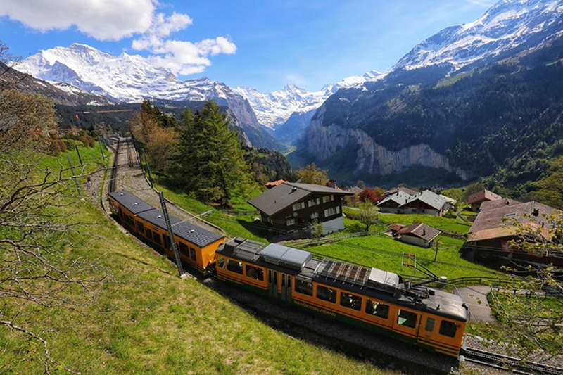 The Pathway To Love Is Forgiveness – Con Đường Dẫn Đến Tình Yêu Thương Là Sự Tha Thứ