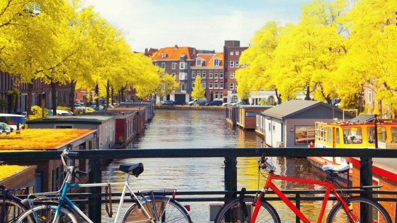 The Things You Can See Only When You Slow Down – Những Điều Bạn Chỉ Có Thể Nhìn Thấy Khi Bạn Chậm Lại