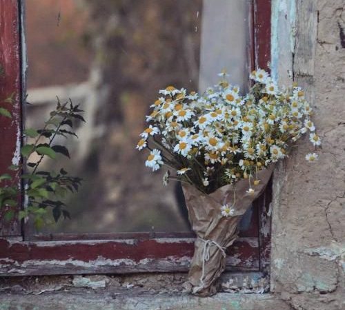 Love Is The Beauty Of The Soul