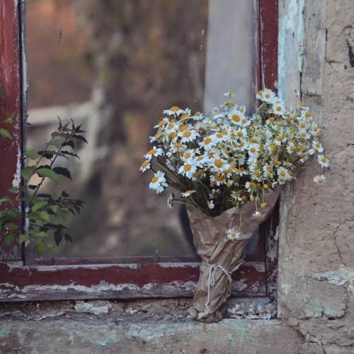 Love Is The Beauty Of The Soul