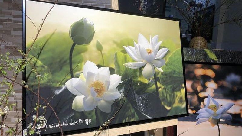 Anything That You Resent & Strongly React To In Another Is Also In You – Bất Cứ Điều Gì Mà Bạn Bực Bội & Phản Ứng Mạnh Mẽ Ở Người Khác Cũng Là Ở Bạn