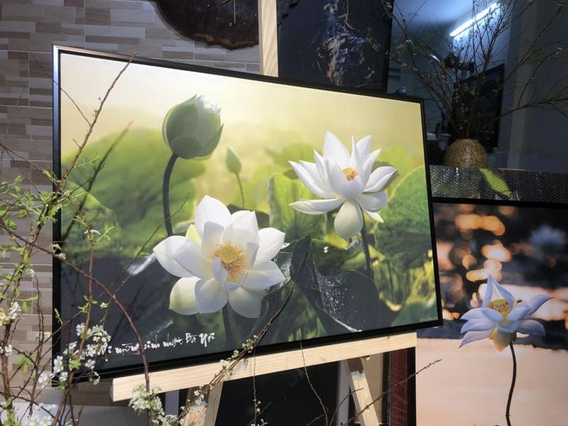 Anything That You Resent & Strongly React To In Another Is Also In You – Bất Cứ Điều Gì Mà Bạn Bực Bội & Phản Ứng Mạnh Mẽ Ở Người Khác Cũng Là Ở Bạn