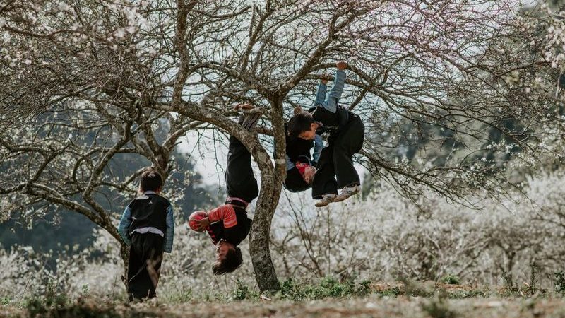 Bạn Có Rất Nhiều Tài Năng Đang Tiềm Ẩn Trong Bạn, Làm Sao Để Đánh Thức Những Tài Năng Đó?