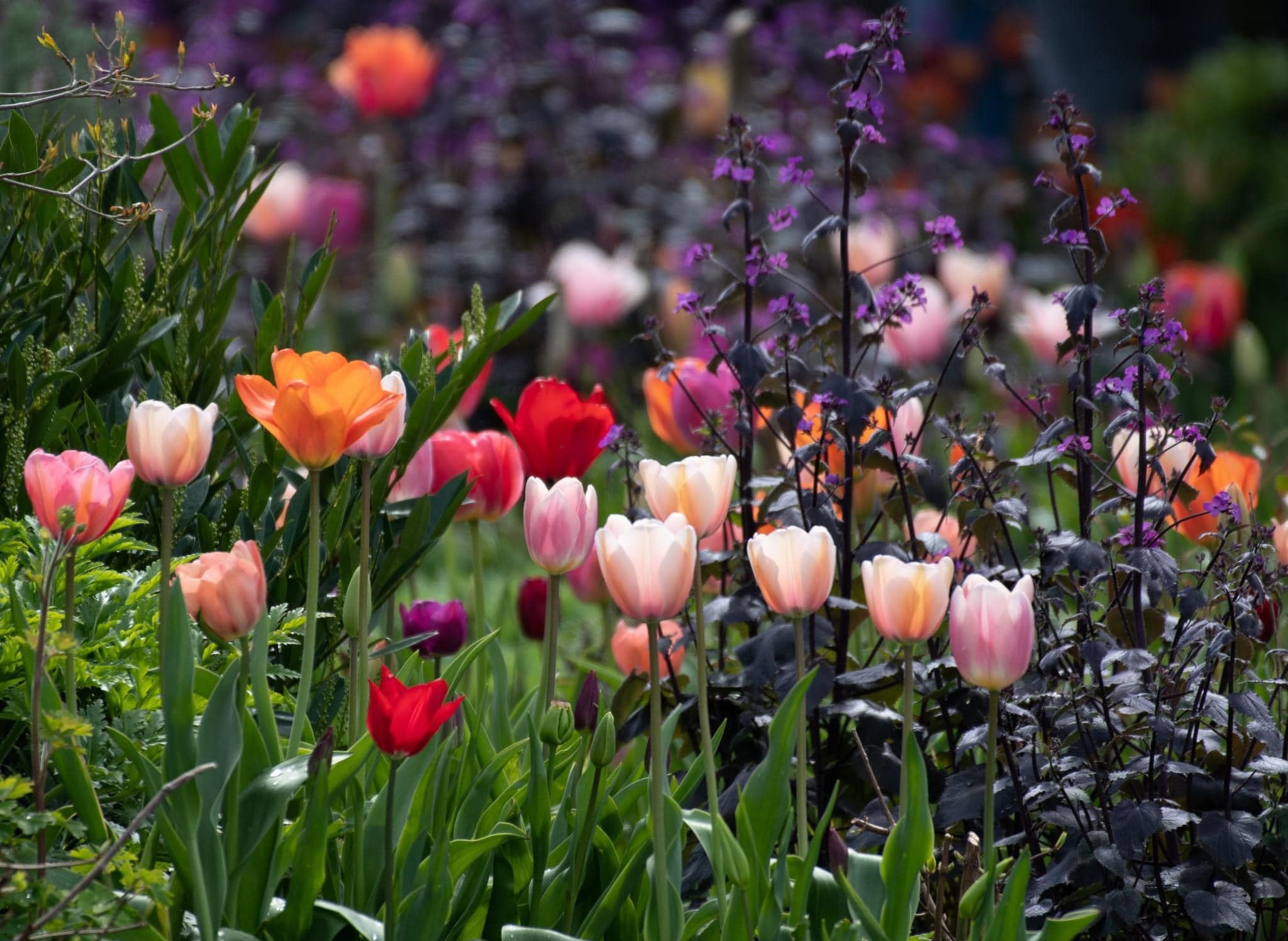 Conquer Your Thoughts, Change Your Destiny – Chinh Phục Suy Nghĩ Của Bạn, Thay Đổi Vận Mệnh Của Bạn