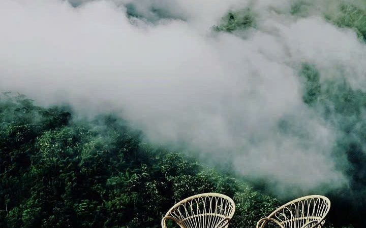 Listen With Your Eyes For Feelings – Hãy Lắng Nghe Bằng Mắt Để Cảm Nhận