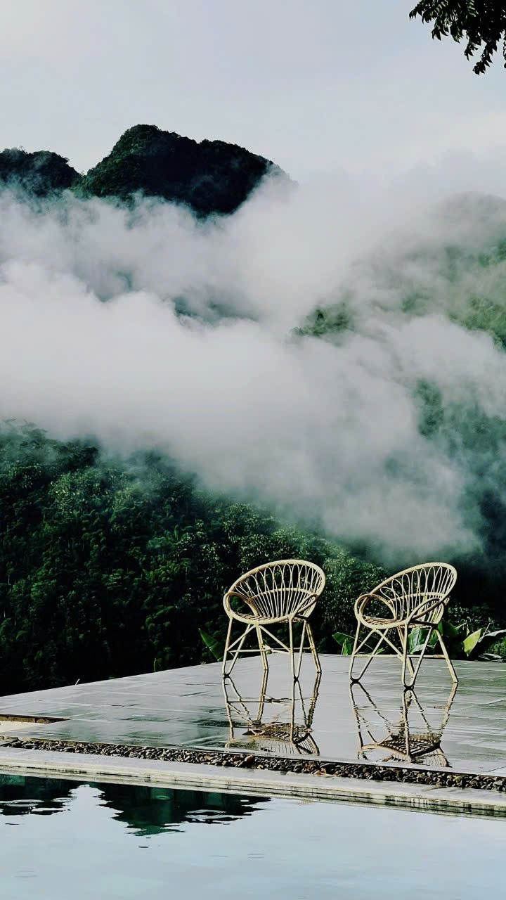 Listen With Your Eyes For Feelings – Hãy Lắng Nghe Bằng Mắt Để Cảm Nhận