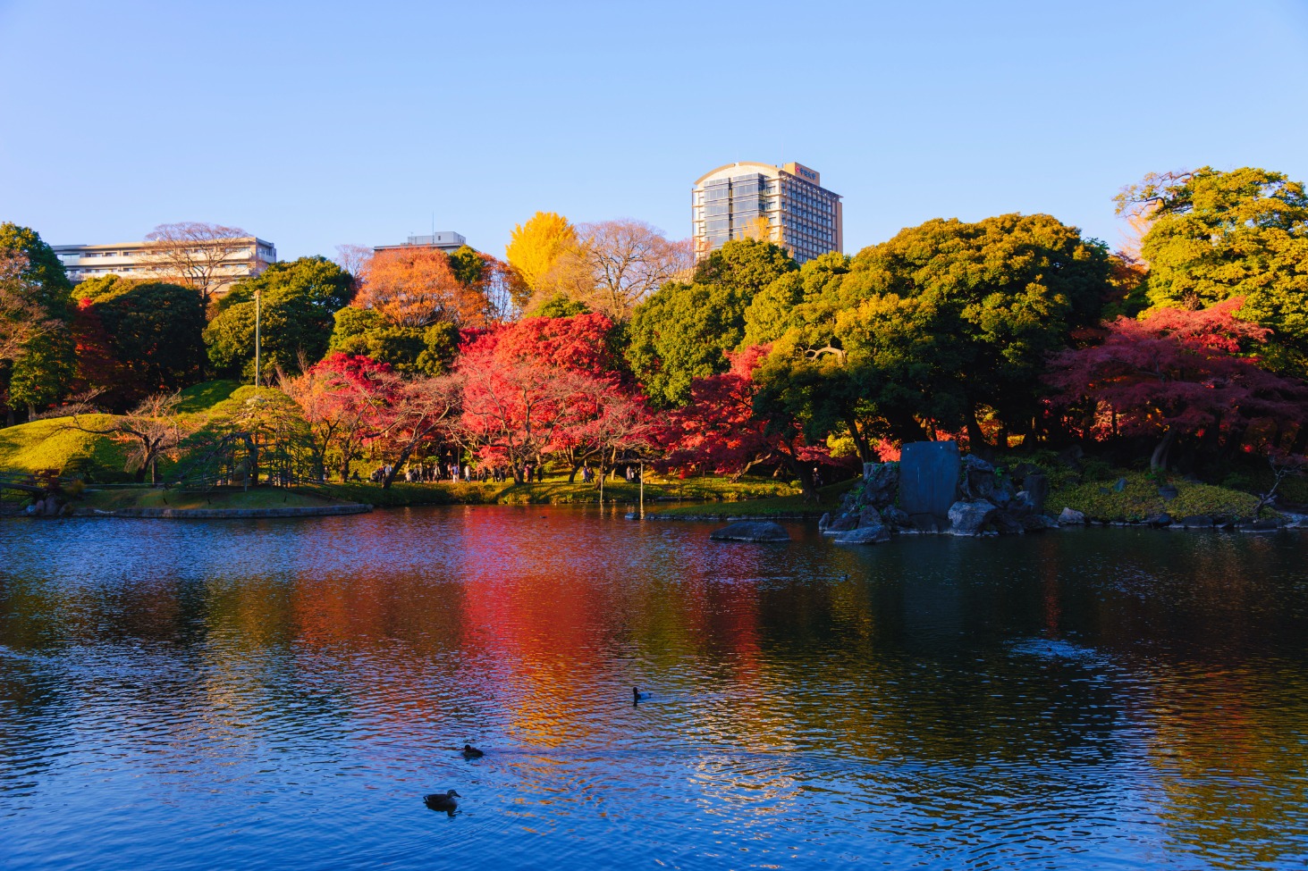 Tương Lai Phụ Thuộc Vào Những Gì Chúng Ta Làm Trong Hiện Tại