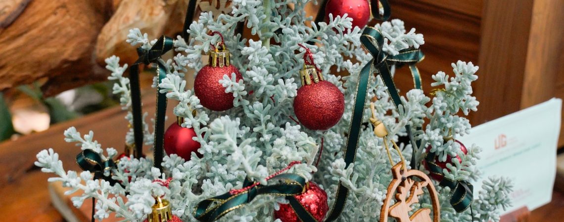 Hãy Hoàn Thiện Chính Mình, Tạo Giá Trị Cho Bản Thân, Thế Giới Sẽ Tự Nhiên Trân Quý Bạn