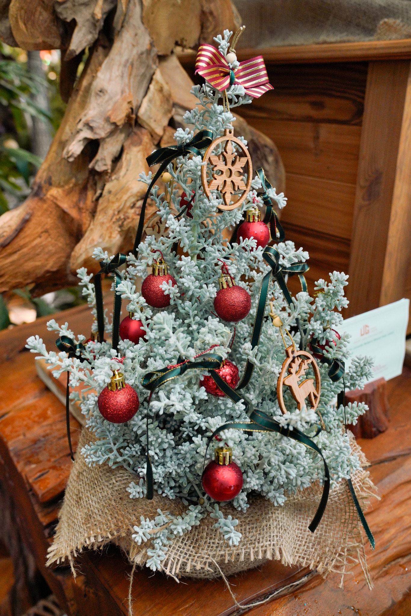 Hãy Hoàn Thiện Chính Mình, Tạo Giá Trị Cho Bản Thân, Thế Giới Sẽ Tự Nhiên Trân Quý Bạn