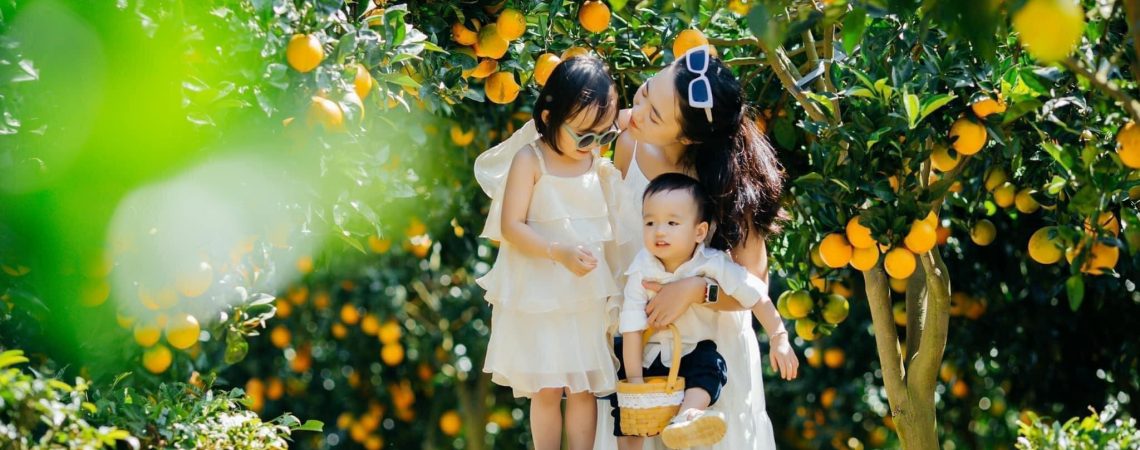 Take Up One Idea, Make That One Idea Your Life – Hãy Đưa Ra Một Ý Tưởng, Hãy Biến Ý Tưởng Đó Thành Cuộc Sống Của Bạn