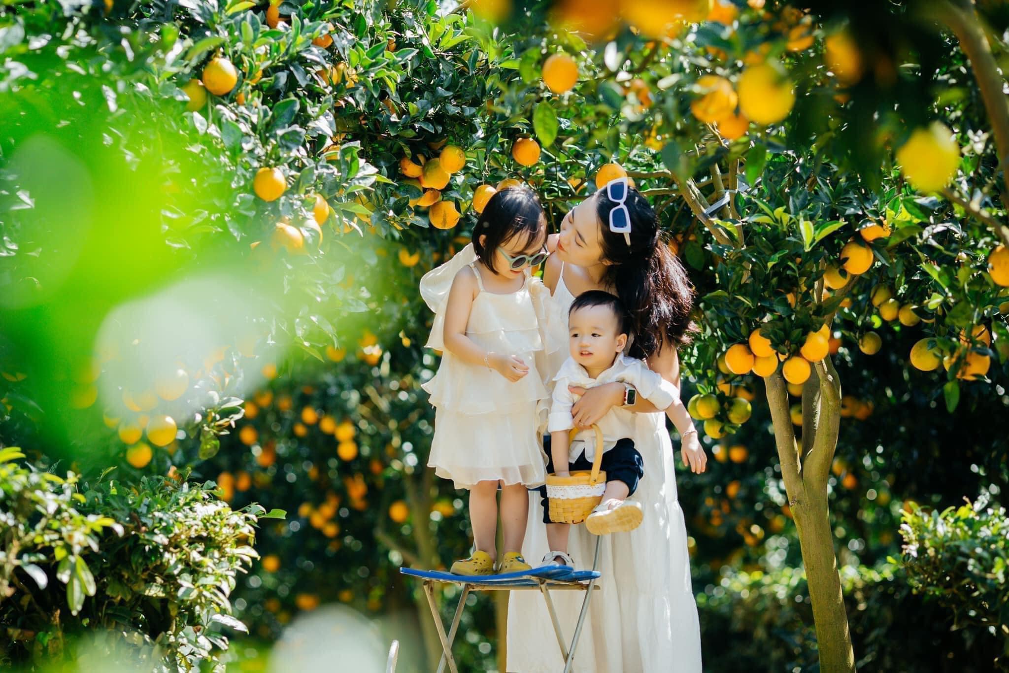 Take Up One Idea, Make That One Idea Your Life – Hãy Đưa Ra Một Ý Tưởng, Hãy Biến Ý Tưởng Đó Thành Cuộc Sống Của Bạn