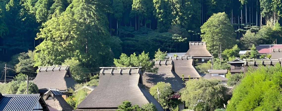 When You Believe You Can… You Can! – Khi Bạn Tin Mình Có Thể… Bạn Có Thể!