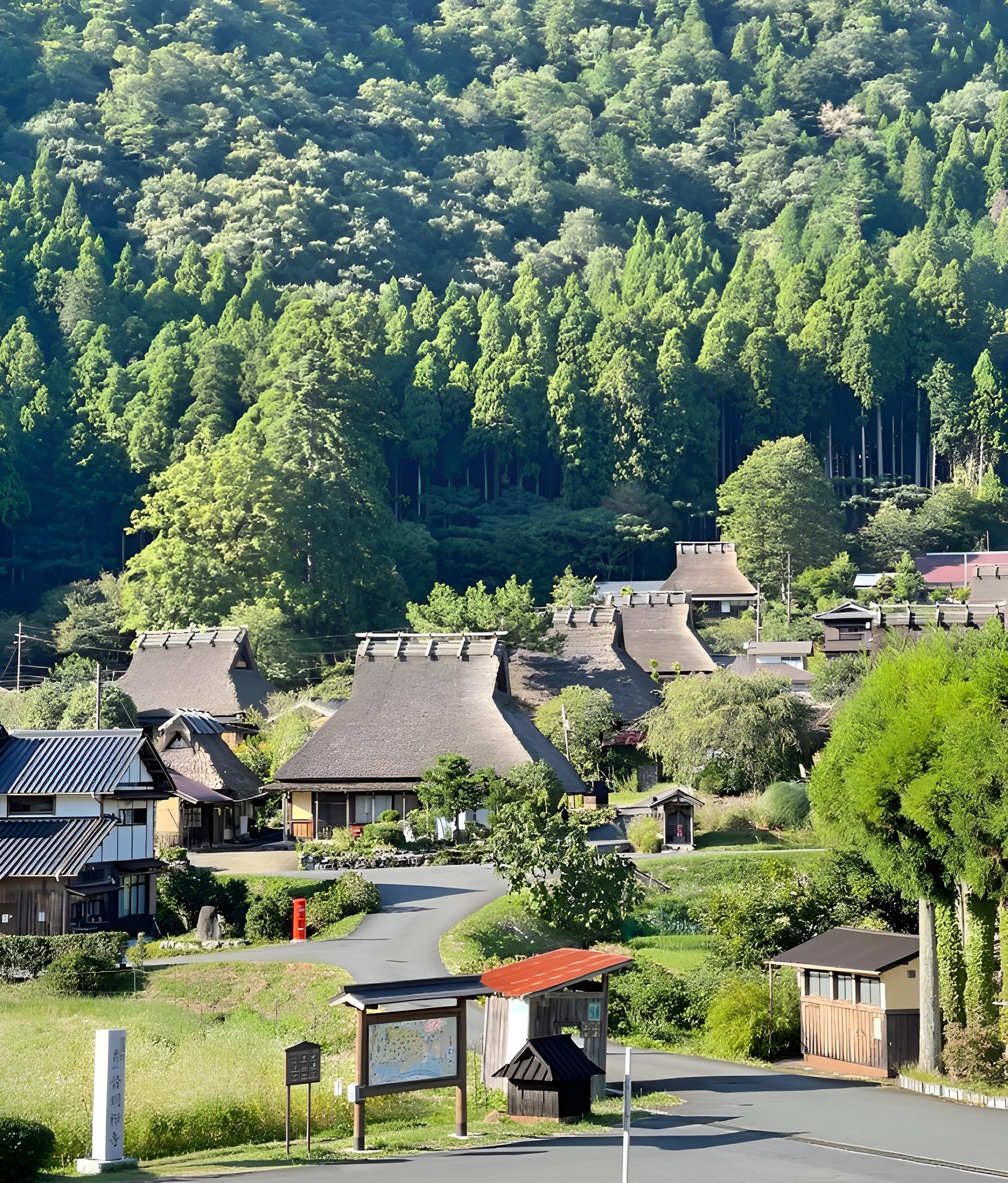 When You Believe You Can… You Can! – Khi Bạn Tin Mình Có Thể… Bạn Có Thể!