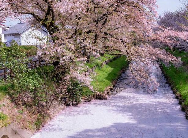 You Must Constantly Renew Your Commitment To Making Yourself Better Each Day – Bạn Phải Liên Tục Đổi Mới Cam Kết Của Mình Để Làm Cho Bản Thân Tốt Hơn Mỗi Ngày