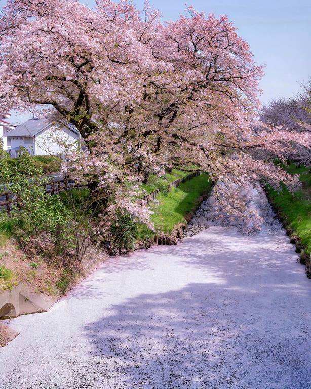 You Must Constantly Renew Your Commitment To Making Yourself Better Each Day – Bạn Phải Liên Tục Đổi Mới Cam Kết Của Mình Để Làm Cho Bản Thân Tốt Hơn Mỗi Ngày