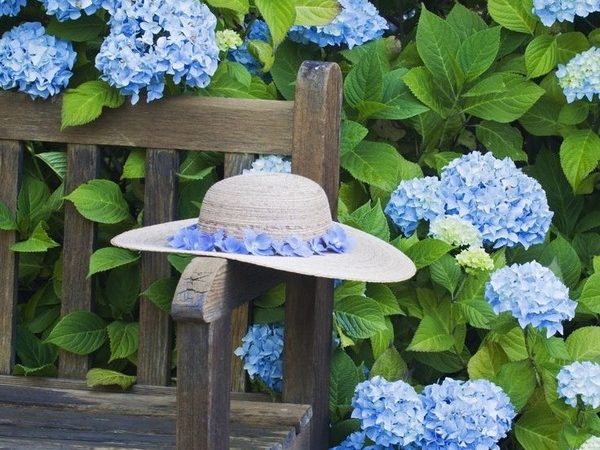 Every Thought You Think Is Creating Your Future – Mỗi Suy Nghĩ Của Bạn Đang Tạo Nên Tương Lai Của Bạn