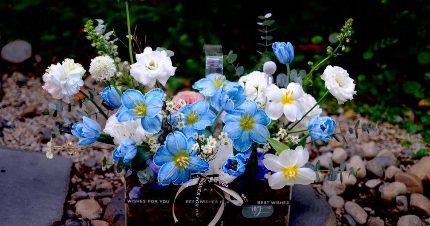 Hồng Trần Vạn Trượng, Bao Nhiêu Phiền Não, Cũng Đều Là Do Lòng Người Tự Chuốc Lấy