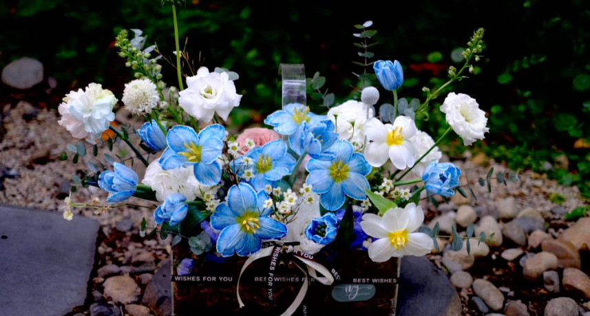 Hồng Trần Vạn Trượng, Bao Nhiêu Phiền Não, Cũng Đều Là Do Lòng Người Tự Chuốc Lấy