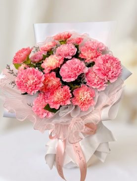 Pink Carnation Bouquet – 12, 24 or 36 Stems Delivered in Vietnam